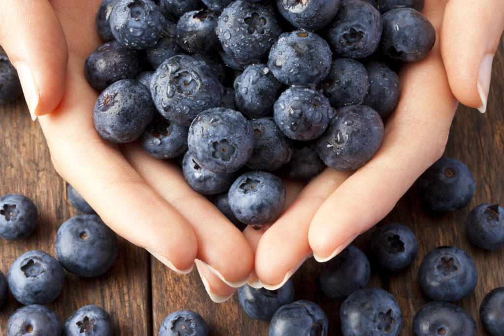 Close up of female hands holding blueberries on a rustic wood background